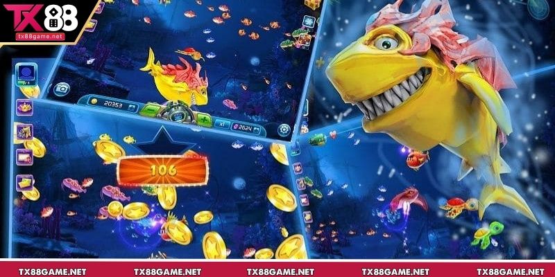 Mỗi loài cá sẽ đem đến phần thưởng hấp dẫn